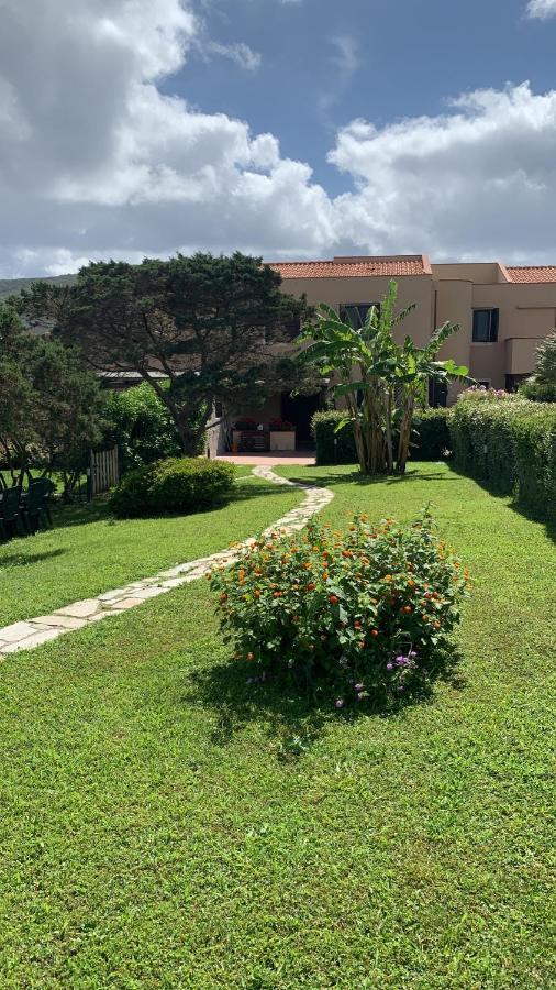 Pelosa - Capo Falcone Excellent Apartment Stintino Exteriör bild