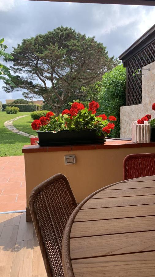 Pelosa - Capo Falcone Excellent Apartment Stintino Exteriör bild